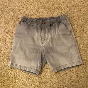Men’s Medium 7 Inch Inseam Chubbies Shorts